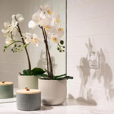 Дом отдыха Casas Sao Joao By Ana Ferro *