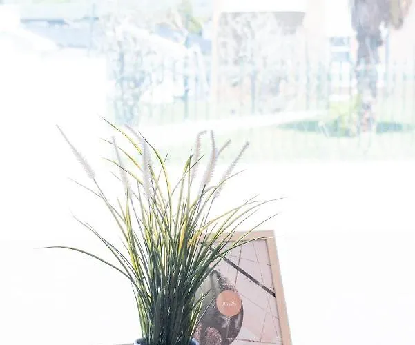 Casas Sao Joao By Ana Ferro Дом отдыха Аркозелу